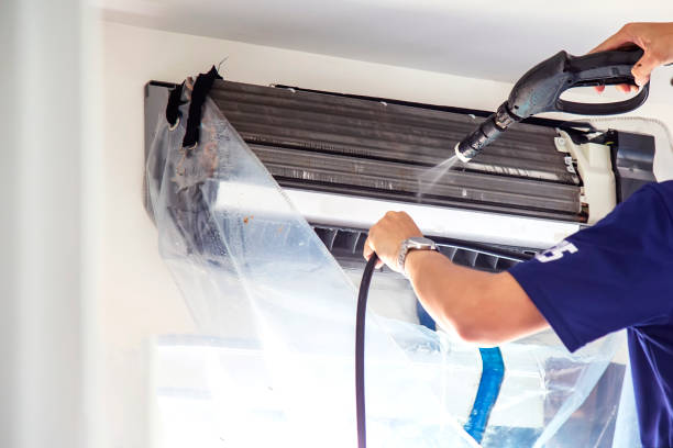 Best Air Duct Sanitizing Services  in Patrick Af, FL