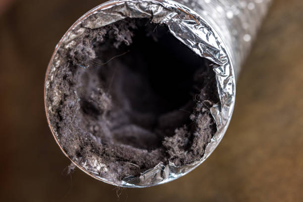 Best HVAC Duct Inspection Services  in Patrick Af, FL