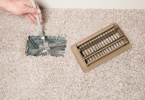 Air Duct Mold Removal in FL