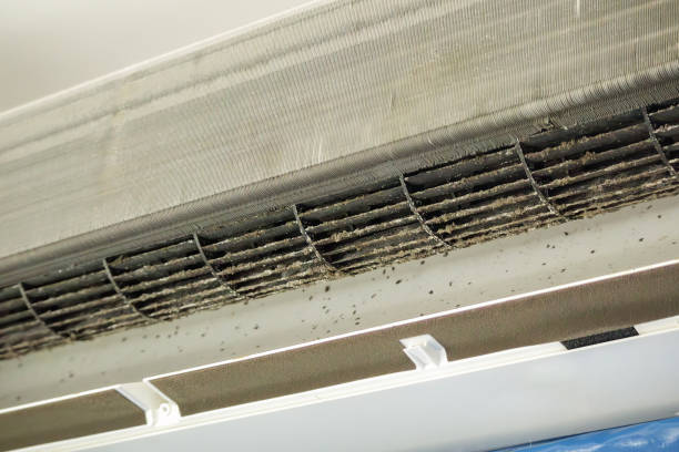 Best HVAC Air Duct Cleaning  in Patrick Af, FL